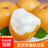 京喜加正宗秋月梨羊脂秋月梨冰糖秋月梨莱阳特产【五】 净重2-2.2斤装