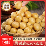 恩施小土豆富晒新鲜现挖黄皮迷你马铃薯粉糯高山洋芋马尔科土豆 9斤-小果-乒乓球大小(净重)