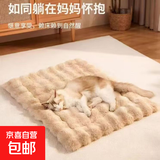 汽车通用坐垫 地垫 椅子坐垫猫窝垫沙发坐垫地毯床垫学生床毯毛绒 豆沙色 40厘米＊40厘米