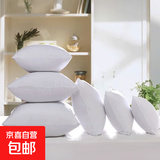 沙发抱枕芯靠枕芯十字绣靠垫芯子靠背方枕芯靠垫靠背抱枕靠垫 白色无边 含枕芯 50*50cm（550g）