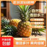 特价金钻凤梨新鲜大果菠萝整箱水果风梨手撕现货直发脆甜多汁凤梨 小果0.8斤-1.2斤3-4个 净重3斤
