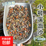 鱼缸溪流石底砂造景沙子水草装饰雨林铺底石头天然石5斤0.5-1cm 溪流石5-8mm2斤