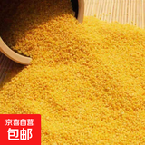 黄小米 油小米月子米 新鲜正宗黄小米新米农家小米粥五谷杂粮 油小米3斤