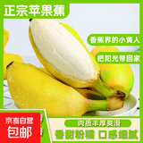 正宗苹果蕉广西香蕉自然熟新鲜水果奶蕉粉蕉小米芭蕉鹏贸 带箱2斤