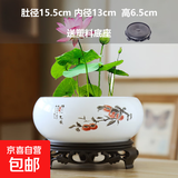 盆生花道水培花盆陶瓷水仙花睡莲碗莲铜钱草无孔水养专用花盆清仓 中号柿如意图水培盆+托盘 无规格