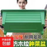 阳台种菜盆专用长条方形懒人特大号塑料家用自吸水家庭高脚花盆箱 【绿色仿木纹种菜盆】 【自吸水2套】