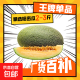 现货正宗保甜当季新鲜水果脆甜晓蜜哈密瓜 精选2-3斤（1颗装）