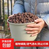 陶粒通用型垫底陶粒养花专用花盆铺面陶土种植土兰花多肉营养土 20升园艺陶粒（中颗粒12-16mm）