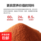 【京东配送】【已售百万】丰年虾卵脱壳卵丰年虾虫鱼饲料鱼食虾 10g袋散装【福利试吃】