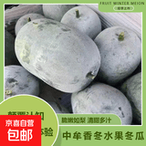 河南小冬瓜 新鲜现摘蔬菜 迷你水果冬瓜 火锅煲汤炒菜 水果冬瓜单只净重1.5斤-2斤