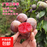 京喜加广西三华李中大果送椒盐粉生鲜水果新鲜现摘现发 广西三华李（中大果） 5斤（带箱）+椒盐粉