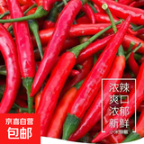 广西小米辣5斤新鲜特辣朝天椒红辣椒辣椒泡椒剁椒小米椒 新鲜小米辣 250g带箱重