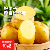 山东土豆新鲜现挖2025新土豆农家马铃薯黄皮黄心大包装健康即食 黄心土豆小果 3斤(净重)