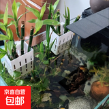 【活动】新款鱼缸水培植物篮水草种植杯壁挂式挺水植物鱼缸定植篮 水培植物篮：【壁挂式】便捷安装 小型号款：1个装