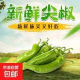 山东青椒尖椒薄皮辣椒虎皮辣椒现摘鲜青辣椒时令蔬菜农场直发 3斤 3斤