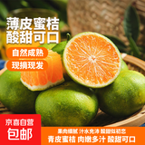 京喜加云南湖北青皮蜜桔橘子高山青皮酸桔子应季时令水果孕妇生鲜 蜜桔带箱2斤50-60mm