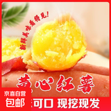 现挖沙地蜜薯红薯新鲜农家糖心番薯烤地瓜软糯批发黄心包邮 红薯4斤装中小果 含箱