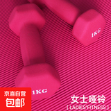 哑铃女士健身家用器材男士儿童小哑铃一对装瑜伽塑性瘦手臂 磨砂粉色 10KG 5kg*2