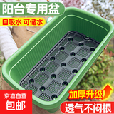加大加厚阳台种菜盆自吸水家用种菜专用盆长方形塑料蔬菜种植花盆 【绿色自吸水种菜盆1套】 【特大加厚款】