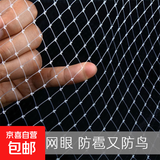 1厘米小网孔专用防小鸟网防冰雹网丝网菜地阳台果园防鸟果树防鸟 2米宽5米长【1.0网孔】