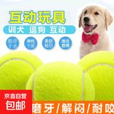 狗狗玩具球自嗨解闷神器宠物边牧金毛柯基耐咬球训练磨牙网球橡胶 绿色2个 全适用