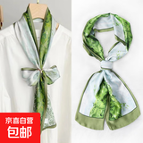 【姚晨同款】丝巾长条女秋季百搭发带领巾气质装饰搭配衬衫送妈妈 绿草茵茵 14*150CM