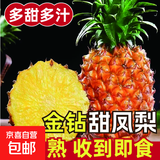 正宗海南金钻凤梨新鲜当季孕妇水果金钻甜凤梨直接吃无需泡水爆甜 中果1.3斤-1.7斤3-4个 净重4.5斤