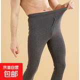 英莱仕男女士羊毛蚕丝保暖秋裤中腰打底裤冬款加肥加大保暖秋裤 烟晶灰 男款【5XL码】210-240斤