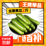 水果黄瓜无刺减肥好搭配可即食生鲜蔬菜 【优选】 2斤 带箱