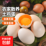 大码鸡蛋50g正负5g/枚散养土鸡蛋新鲜鸡蛋溏心蛋早餐必备京东包邮 30枚土鸡蛋50g