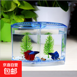 【京东配送】斗鱼隔离盒亚克力独立繁殖多功能观赏鱼缸外饲养孔雀 超白大号双格斗鱼盒-19*9*14