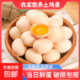 京喜加 鲜鸡蛋 土鸡蛋  五谷喂养 山林自养鸡蛋早餐 生鲜超市买菜40g 10枚 500g【含箱】