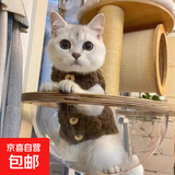 猫衣服保暖羊羔毛马甲背心秋冬泰迪博美宠物冬装可爱狗衣服绝育服 羊羔绒马甲-咖啡色 XL码（约10-11斤）