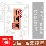 中国画白描临摹画册美术入门描摹浅印线条涂色基础画画国风简笔画 花鸟篇
