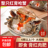 舟山红膏呛蟹整只生腌螃蟹腌制醉蟹下酒菜梭子膏蟹宁波特产 净重4-6两*2只 红膏呛蟹