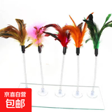 猫玩具 羽毛逗猫棒 弹性好耐用猫咪玩具 宠物猫咪钓鱼杆逗猫玩具 七彩羽毛逗猫棒【1个装】