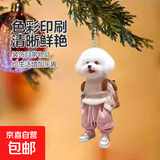 创意小泰迪背包亚克力平面挂件车载挂饰包包钥匙扣ins风送闺蜜 泰迪熊【粉色款】 1个装