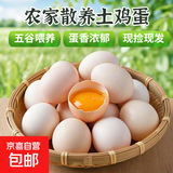 京喜加农家新鲜散养鸡蛋单枚40g正负5g谷饲蛋初生蛋溏心蛋早餐生鲜买菜 20枚
