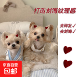 【京东物流】氛围感红色小抓夹复古发卡氛围感发卡宠物小夹子 小抓夹【2个装】