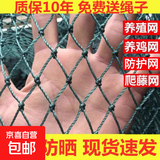 养鸡网拦鸡网渔网养殖网围栏网尼龙菜园围网爬藤网格鸡网防护鱼网 加粗18股3厘米加粗加强筋 1.5米高10米长