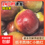 四川小脆红李子新鲜李子现采时令水果清香解腻过瘾 【 吃过瘾】带箱5斤 15g+