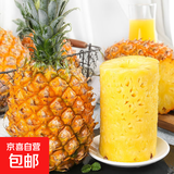 广东徐闻香水菠萝新鲜水果生鲜热带孕妇水果整箱包邮 2个装 净重3-3.5斤 单果650g起