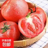 山东红果西红柿农家自种新鲜水果生吃沙瓤番茄应季蔬菜自然熟 红果西红柿 1斤
