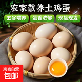 土鸡蛋农家散养新鲜柴鸡蛋孕妇笨鸡蛋40-50g正宗草鸡蛋谷物蛋整箱 4枚40-50