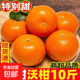 正宗广西沃柑薄皮桔子现摘现发新鲜手剥柑橘应季新鲜水果 9斤装【净重8.5斤】 70-75mm