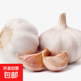 山东大蒜干蒜新鲜白皮精品大蒜 大蒜 100g 3到4头小果3-4厘米