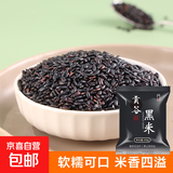 东北黑米 粗粮大米新货农家自产紫米黑香米五谷杂粮糙米粥糯米 东北黑米500g*1袋