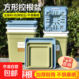 加厚方形花盆大口径透气控根盆月季铁线莲绿植盆栽专用树脂大花盆 【口径20cm高23cm】 【2个带托盘】果绿色