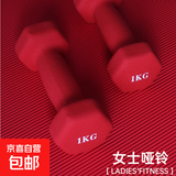 哑铃女士健身家用器材男士儿童小哑铃一对装瑜伽塑性瘦手臂 磨砂红色 4KG 2kg*2