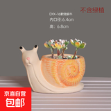 卡通动物多肉花盆陶瓷特价清仓精致小盆大口径可爱多肉专用盆桌面 DXX-16
